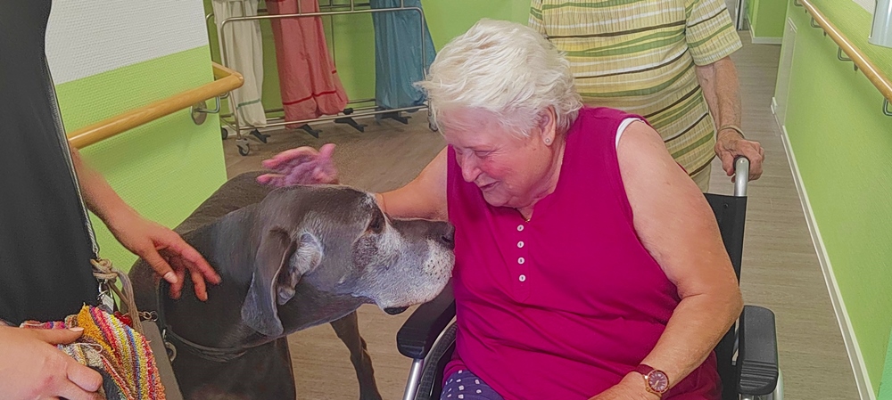Therapiehund Residenz Naab, Schwandorf